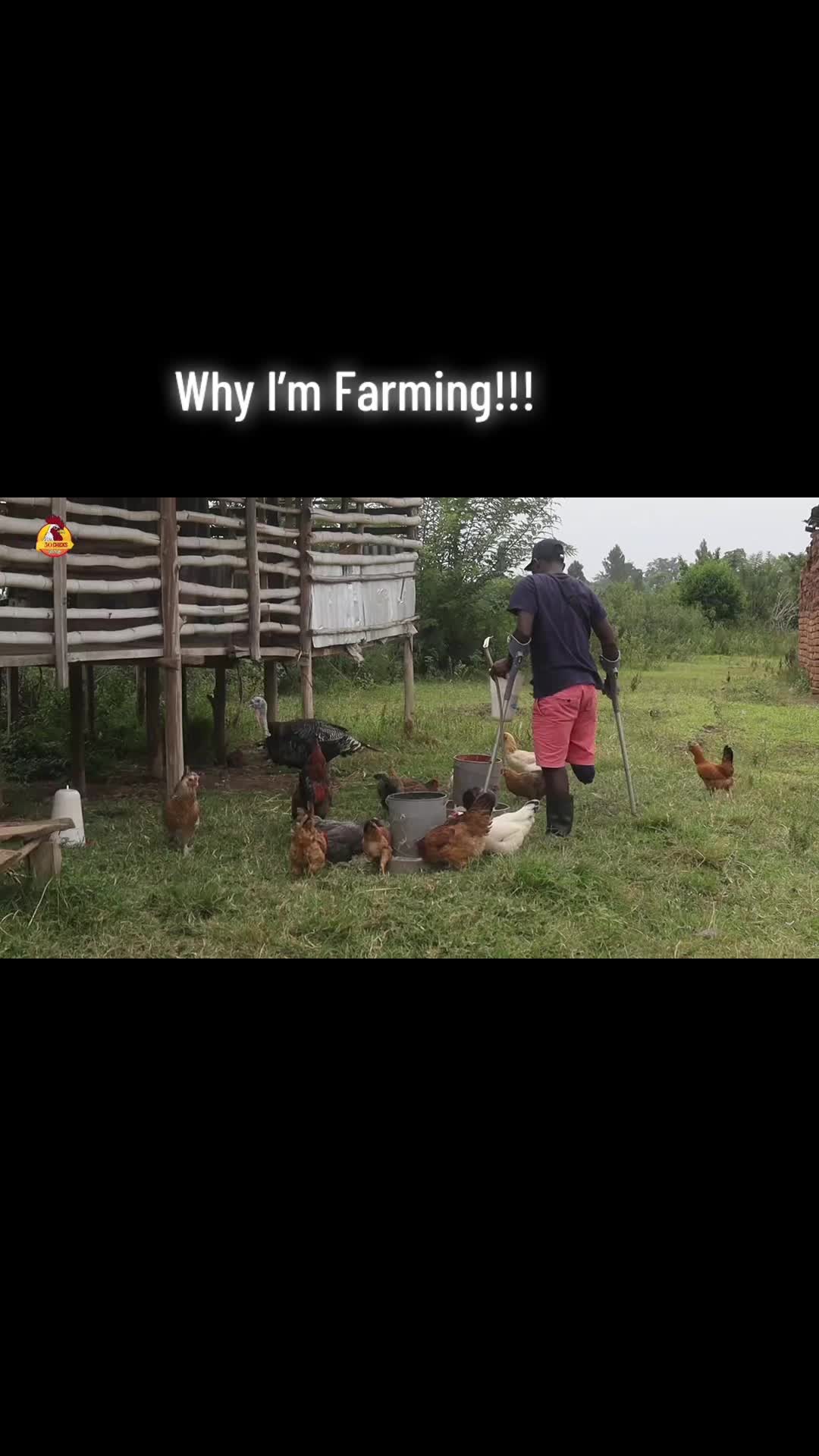 @mzee chicks ug