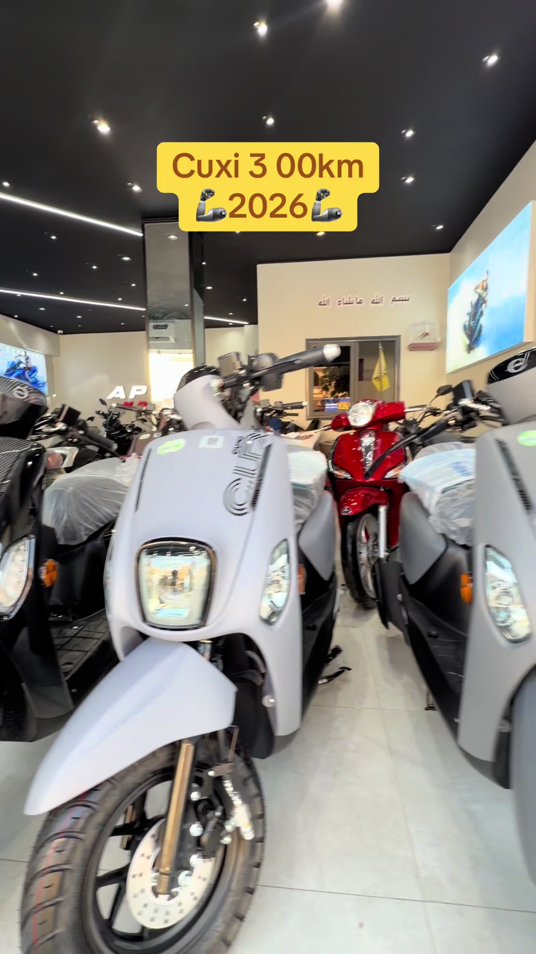 @APEX Moto