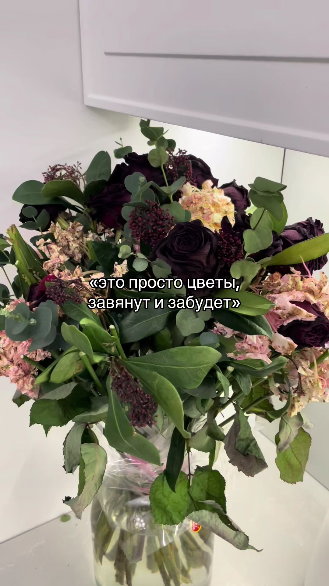 @circassian