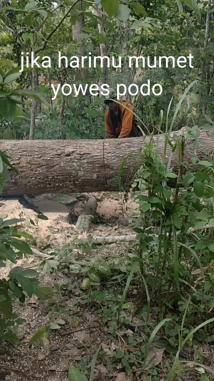 @sopir sesss