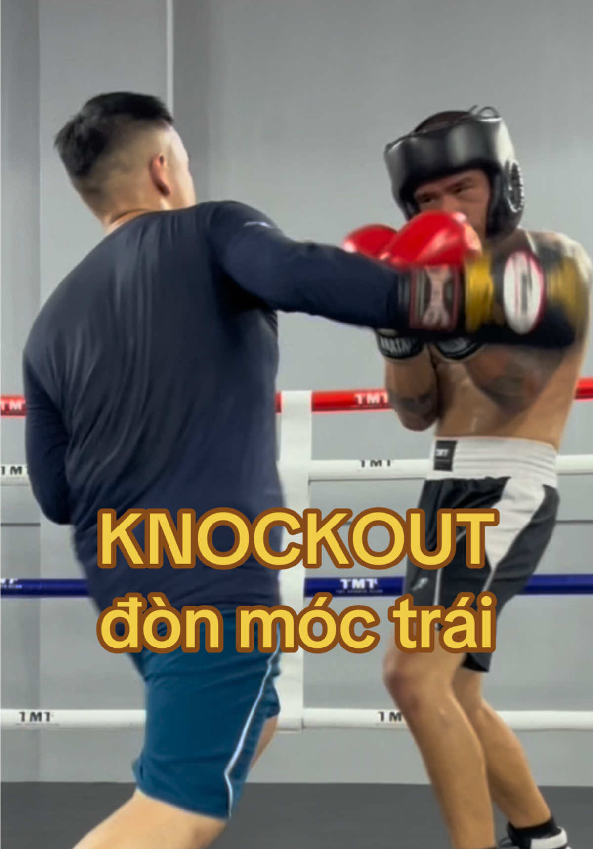 @TMT CLUB