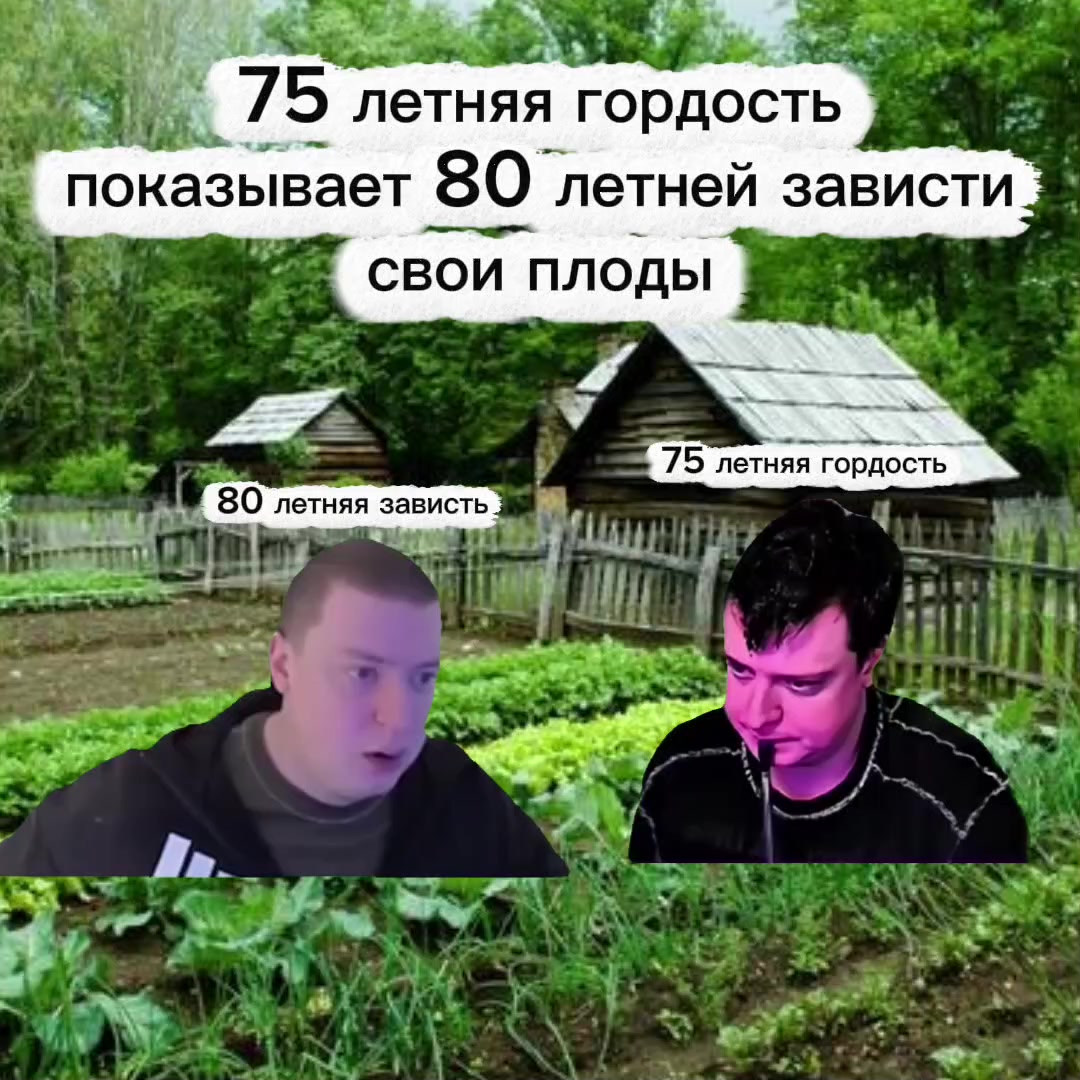 @gavz