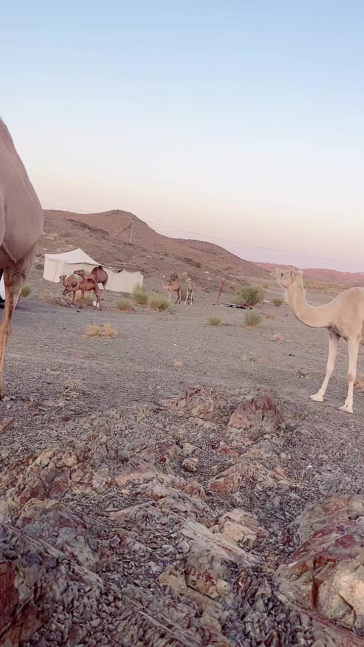@سليمان البلوي