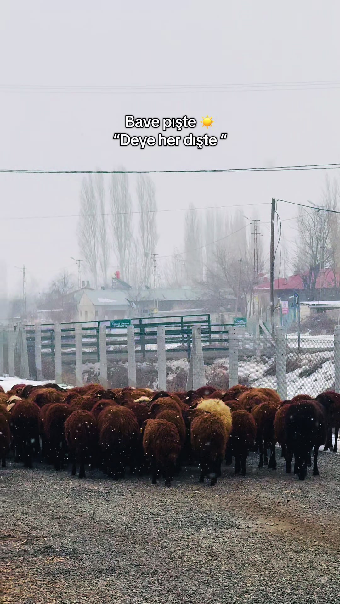 @𝐁𝐀𝐑𝐈Ş Ç𝐄𝐋İ𝐊