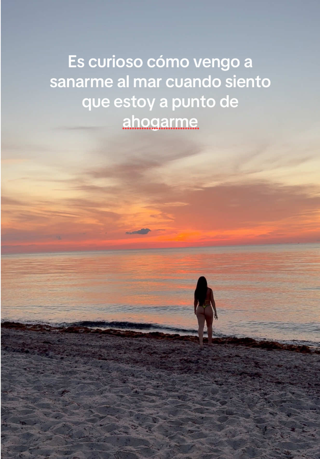 @Alejandra Valero🇻🇪