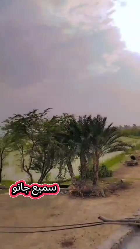 @حبدار علی ساہیوال الا
