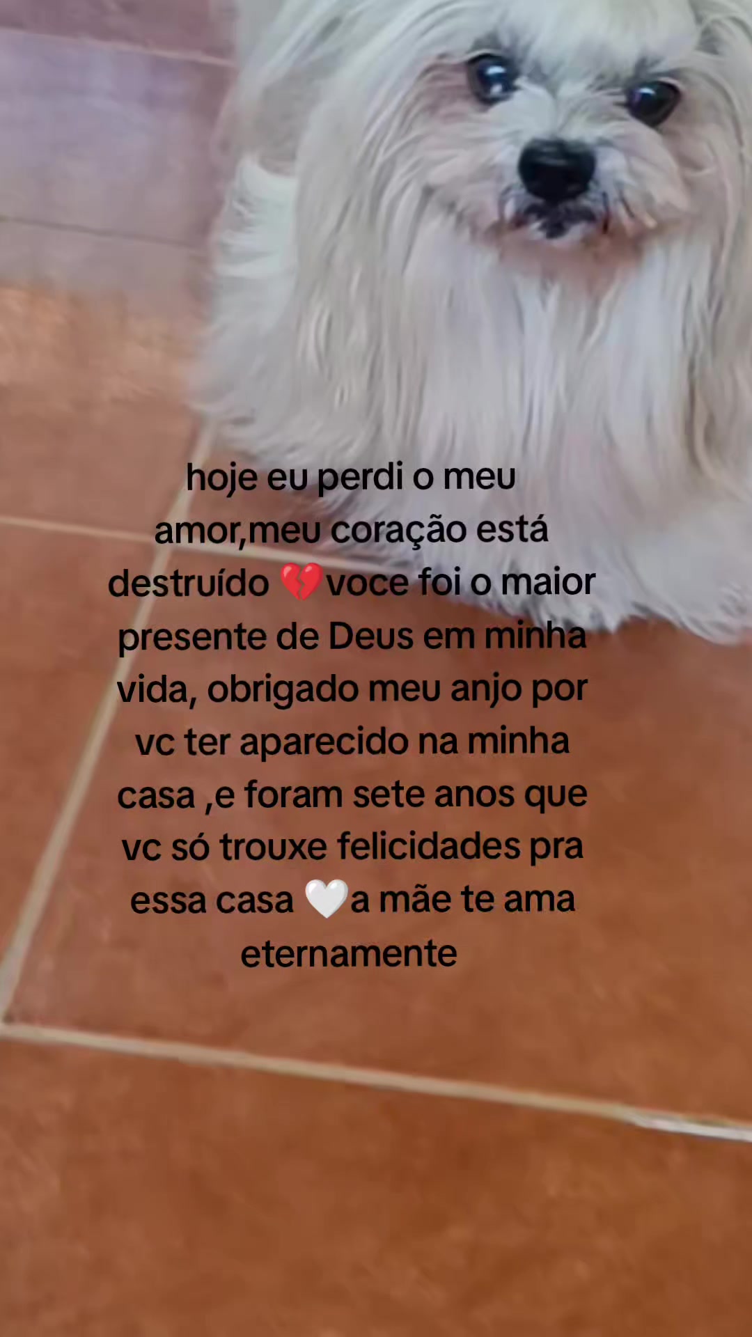 @Elaine Fernandes