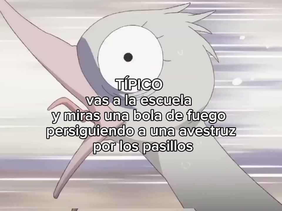 @˚˖𓍢ִ໋❀