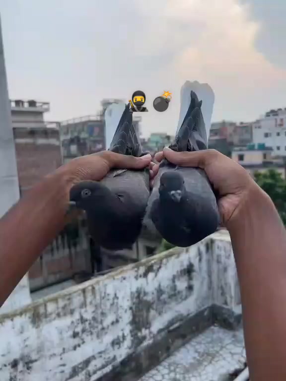 @๐๐