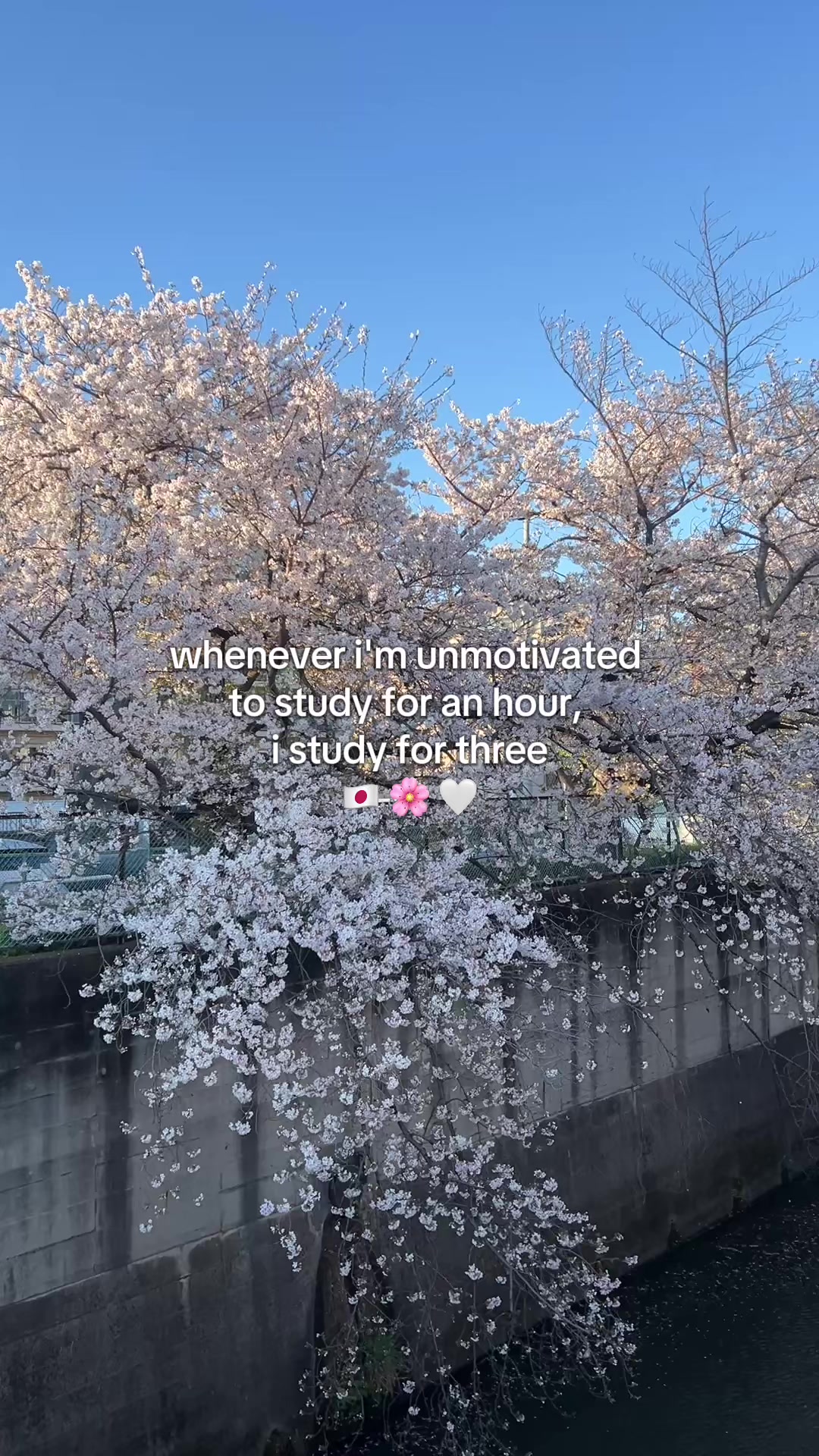 @nihongo.ghoul japanese study