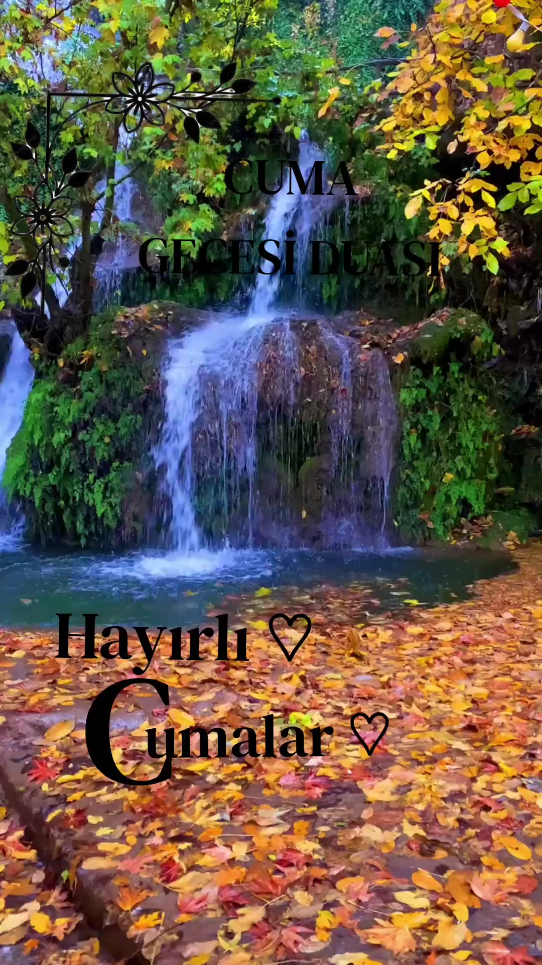 @𝓗𝓲𝓻𝓪𝓼𝓾
