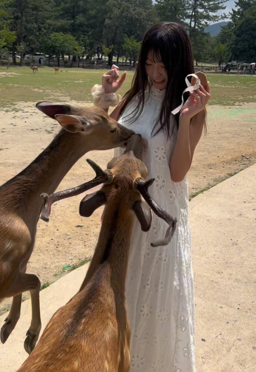 @りりかといっしょ🐰