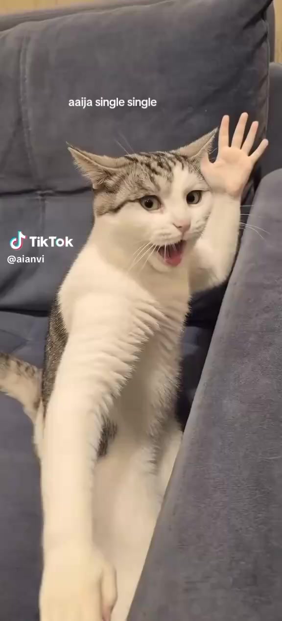 @๐ sanii ๐๐ซต