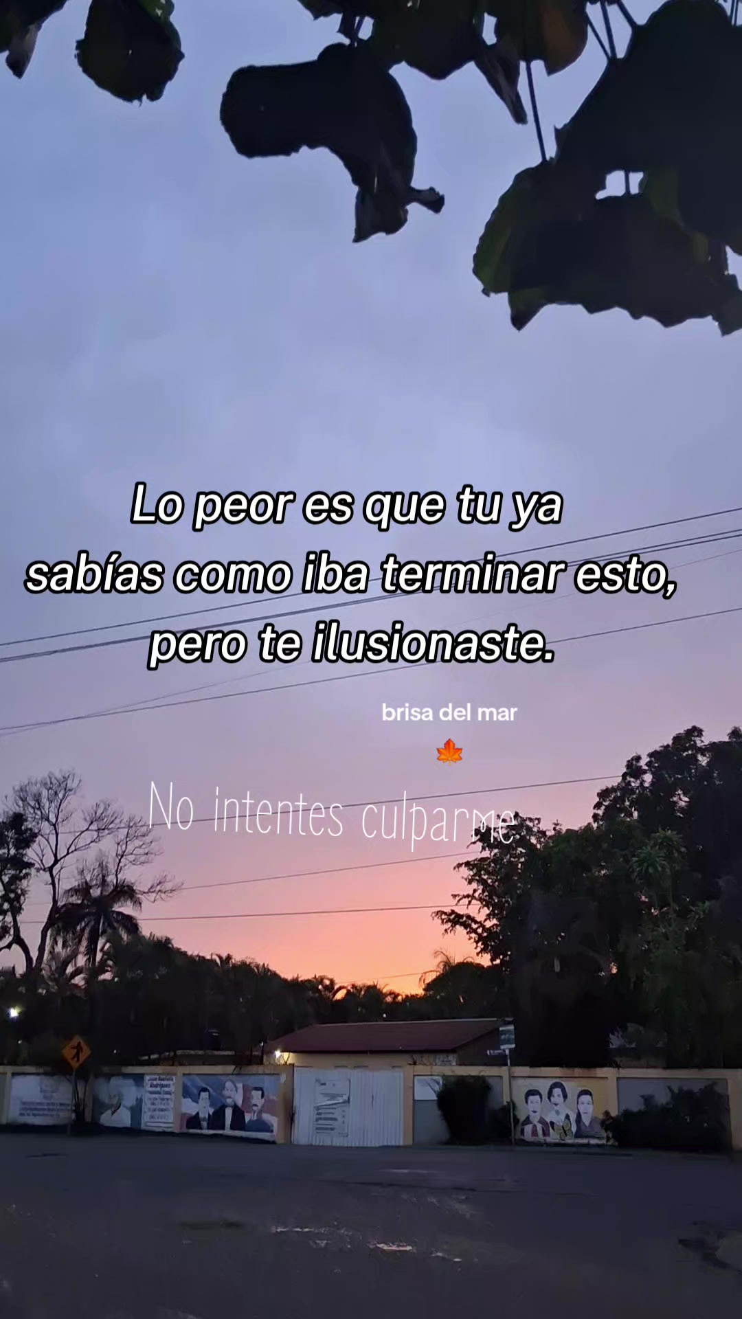 @🍁Brisa de Oto&ntilde;o🍁