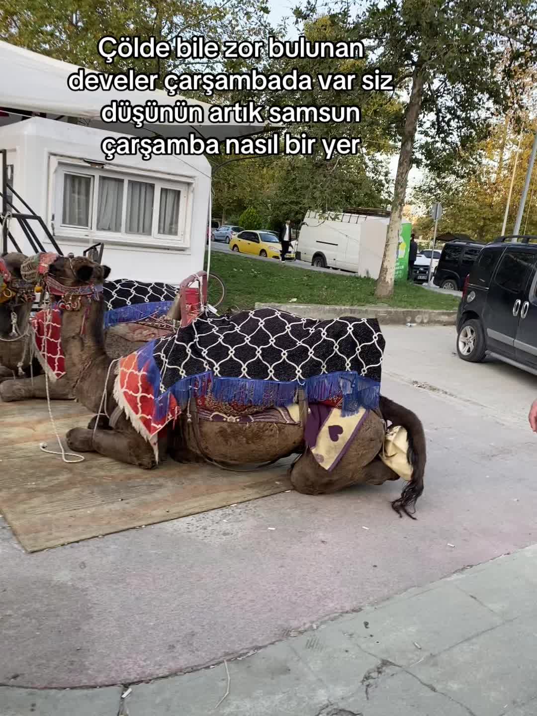 @SONER