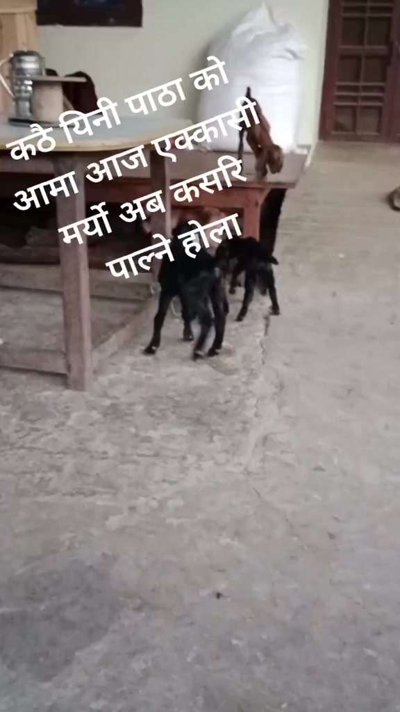 @Harilal Jaishi