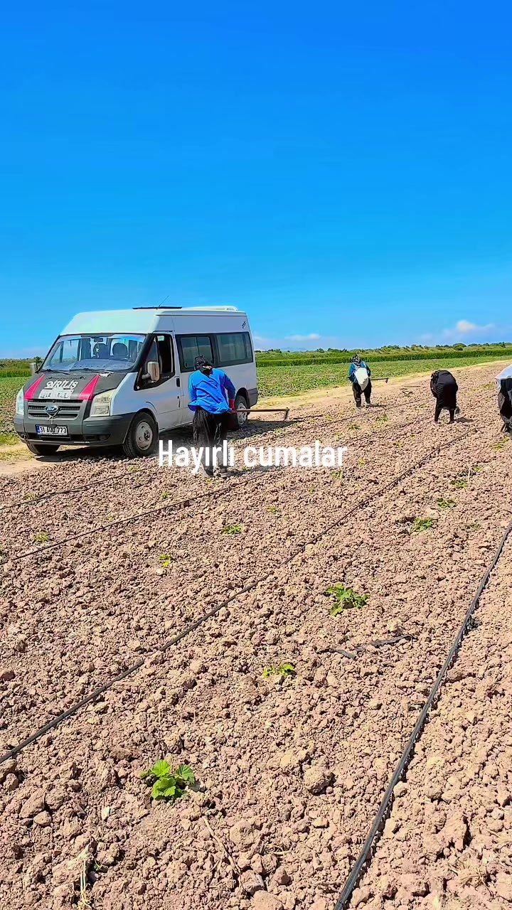 @YUSUF CİKE &Ccedil;AVUŞ