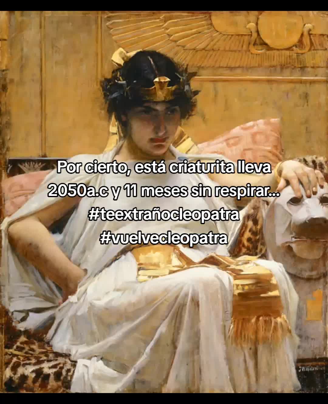 @sofi_♡
