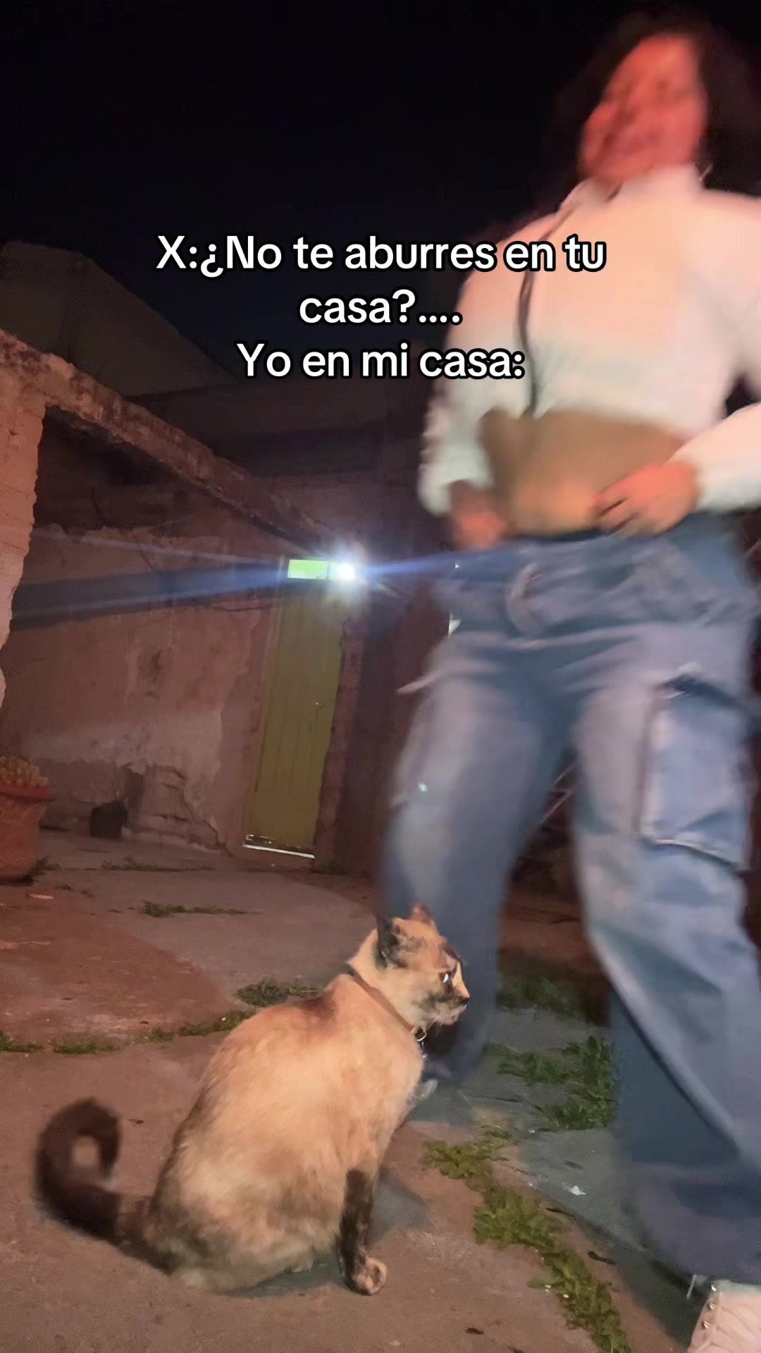 @Bombón. ❤️🐖