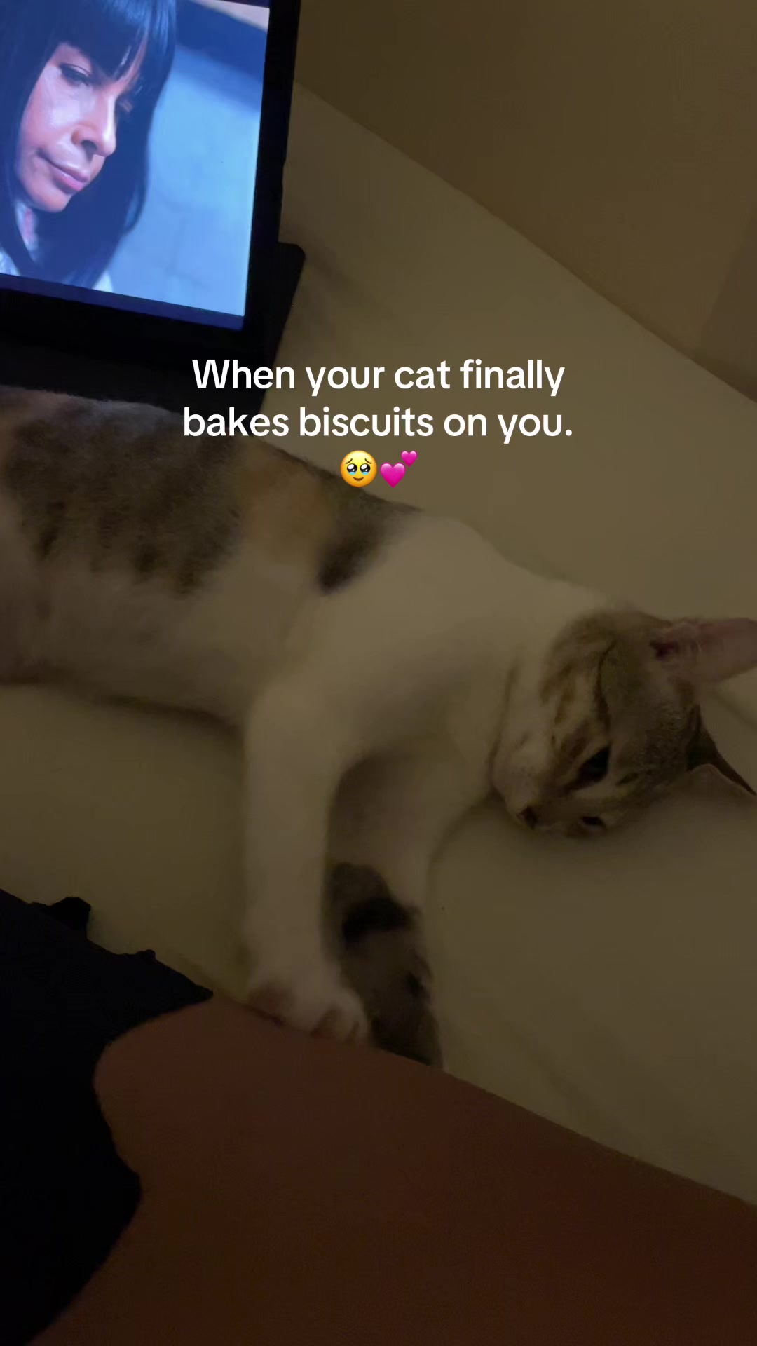 @bnbrsmaeshop