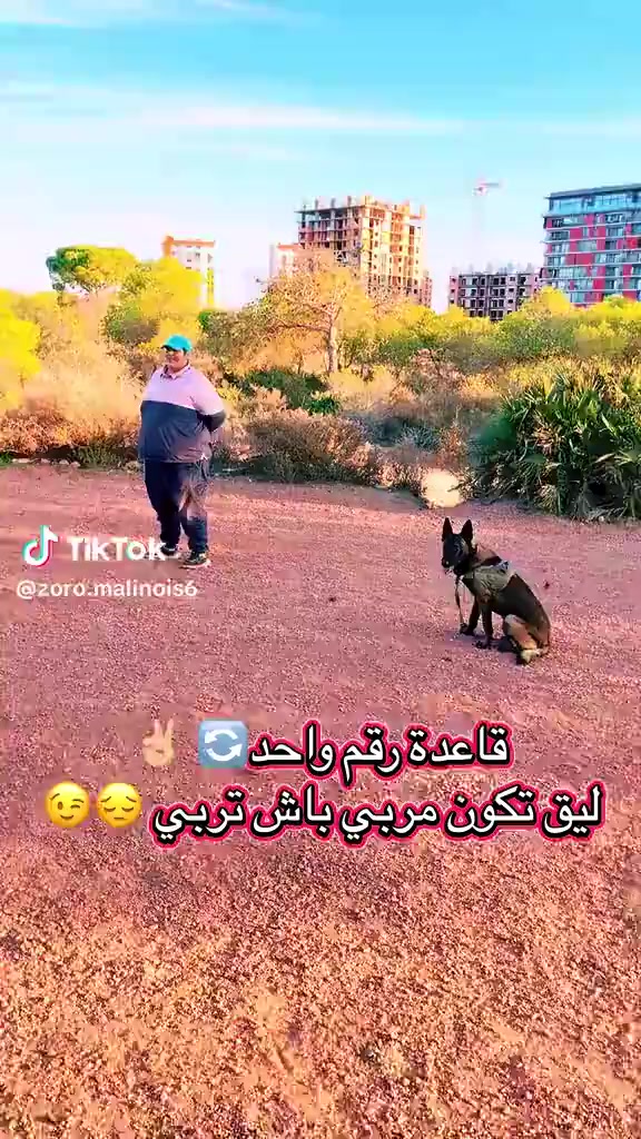 @امين