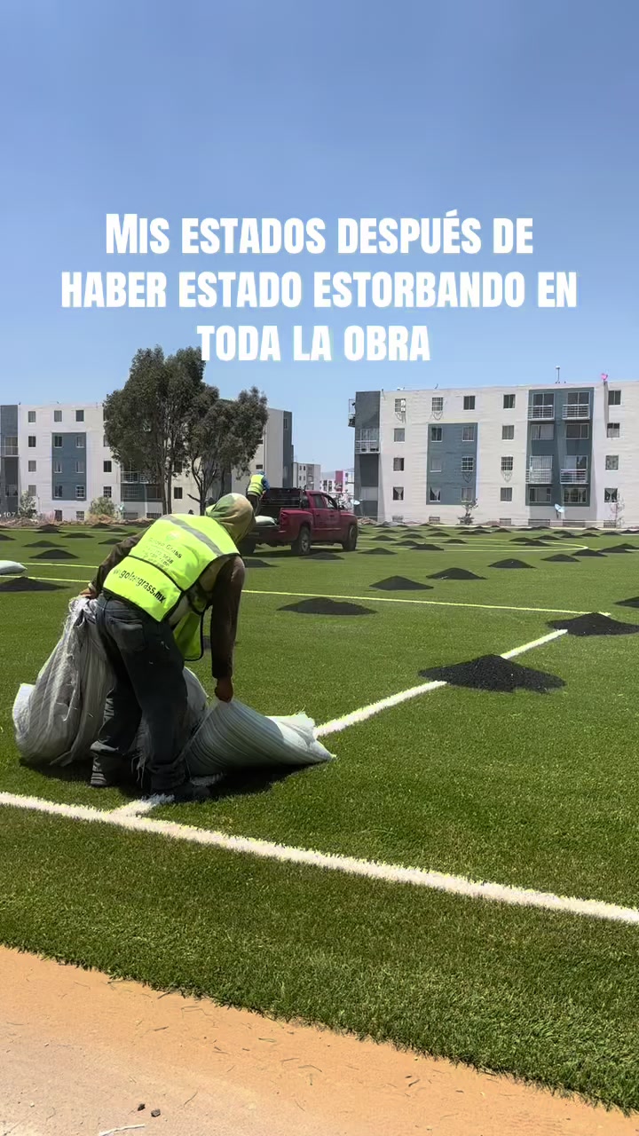 @fernandezgiselle