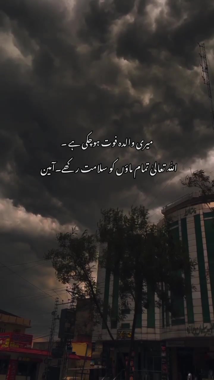 @shahzdi_aesthetic