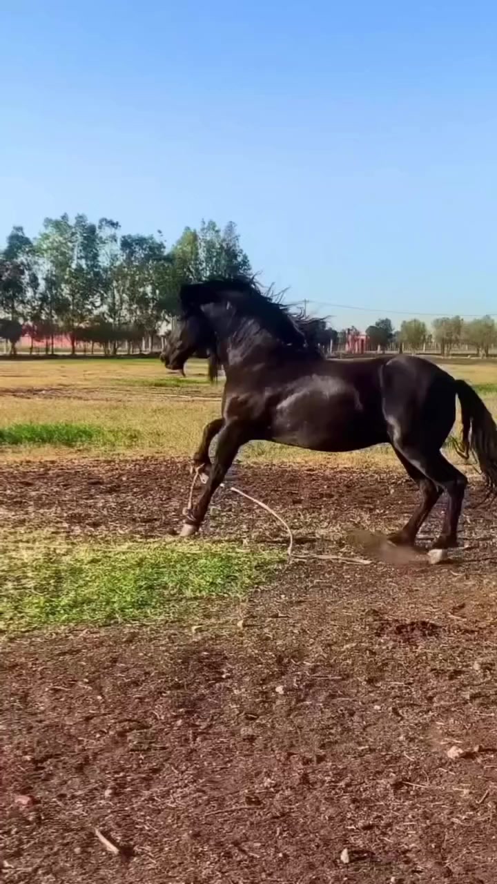 @Amar 13