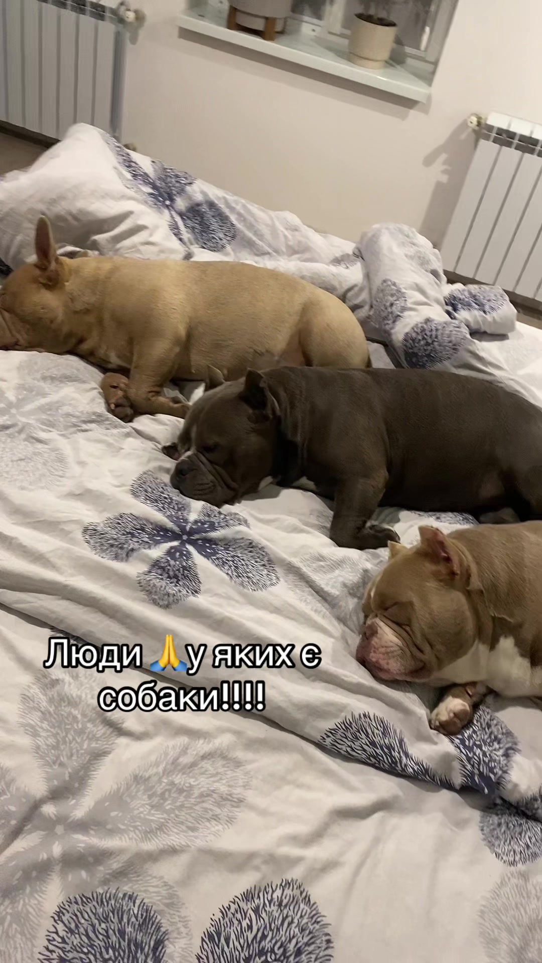 @Gre4anka