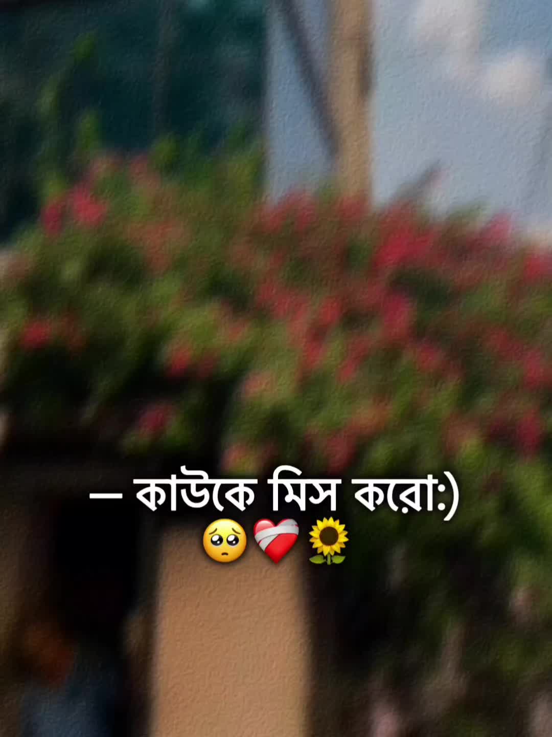 @🌚🐸>জাতির_বউ'মা<🐸🌚