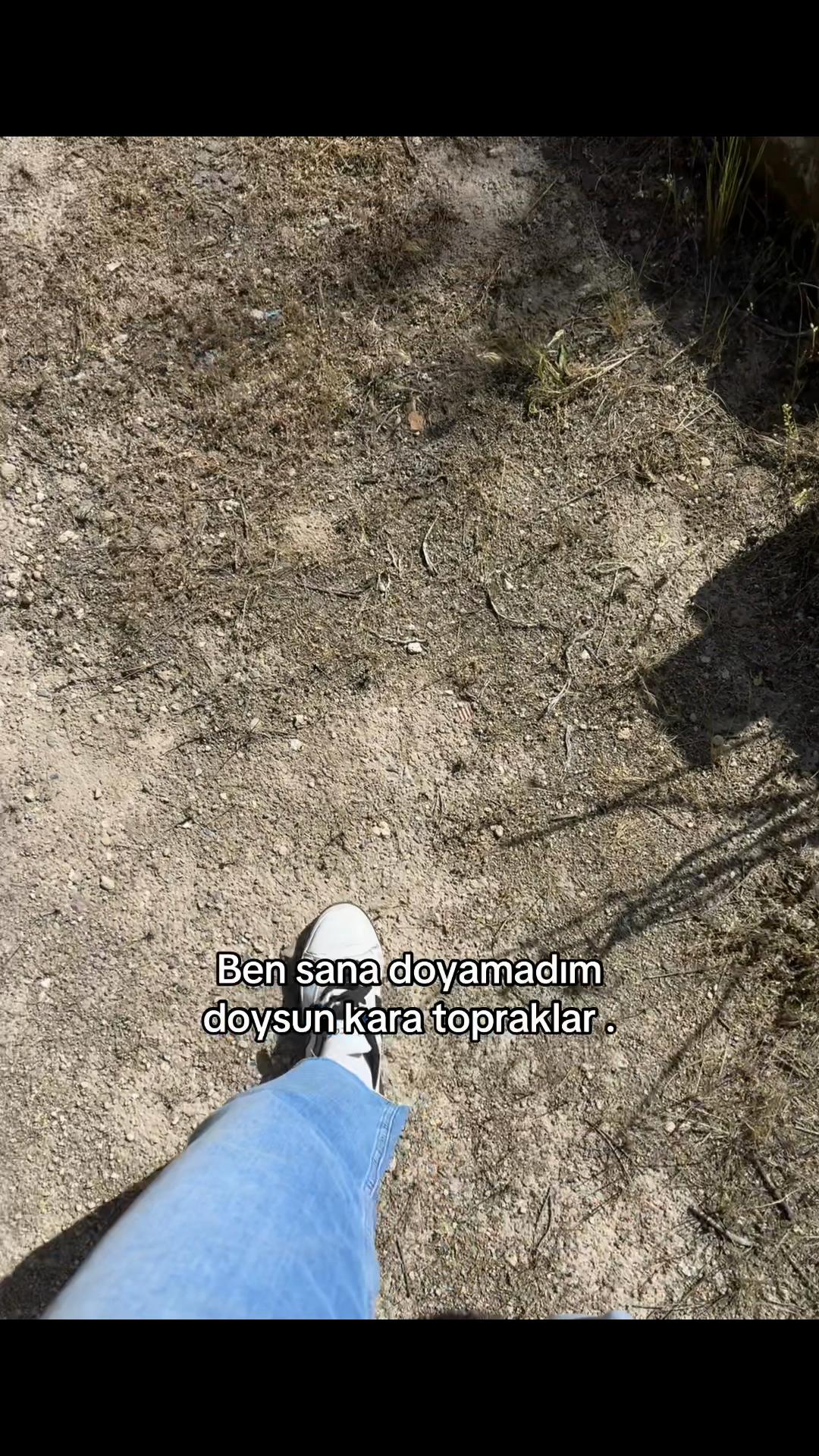 @ลEVVAL ฤฐZOL