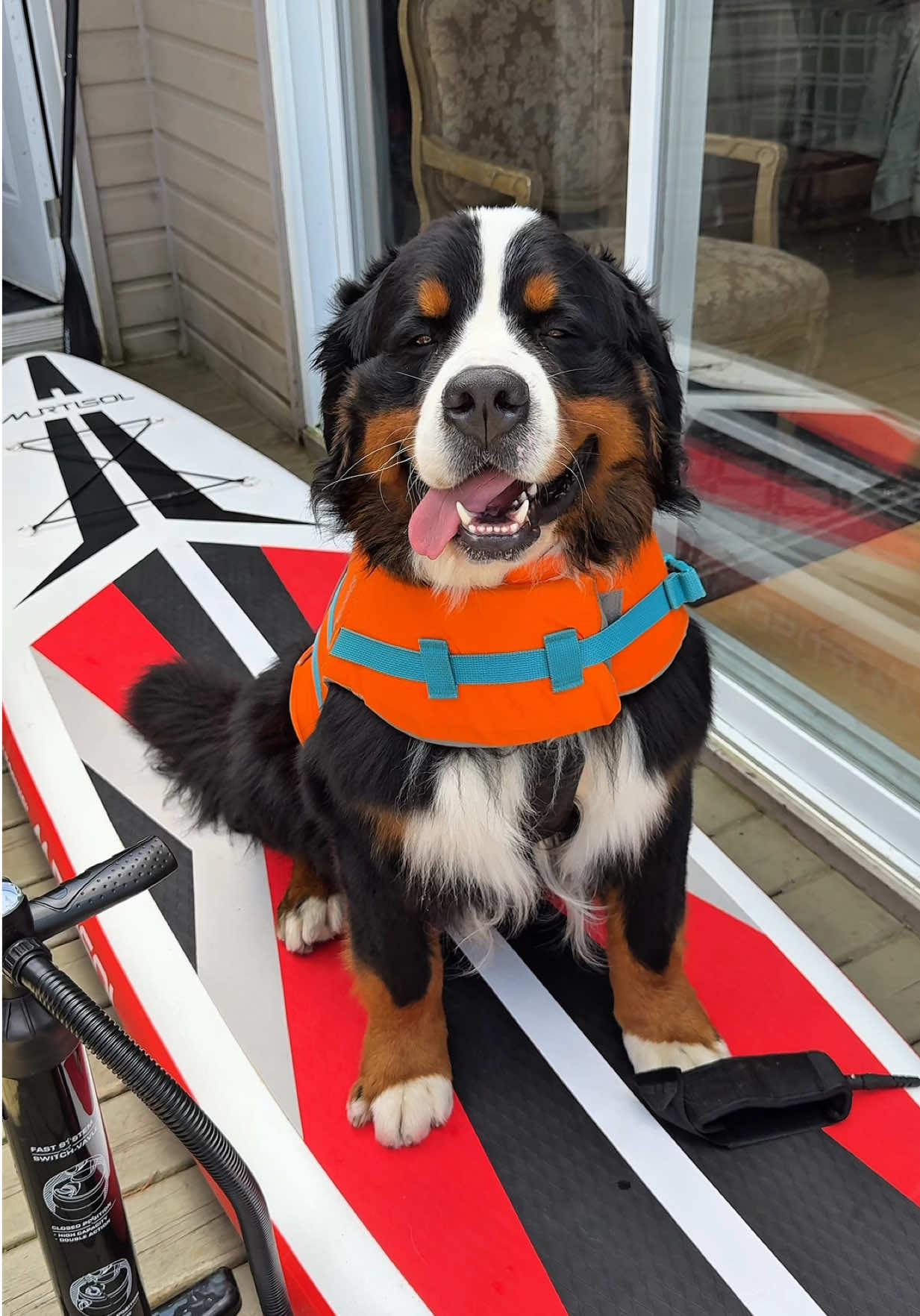 @Woody The Bernese