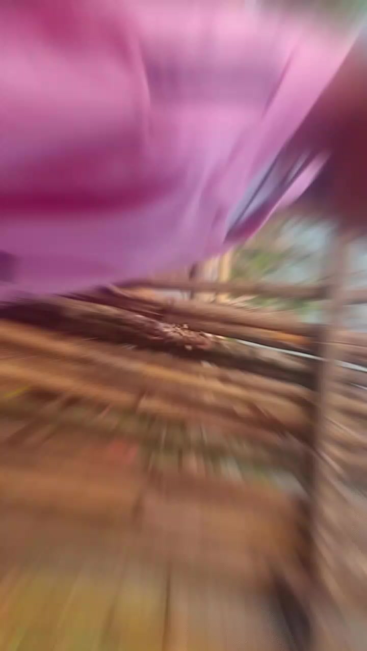 @Tamang Sangita