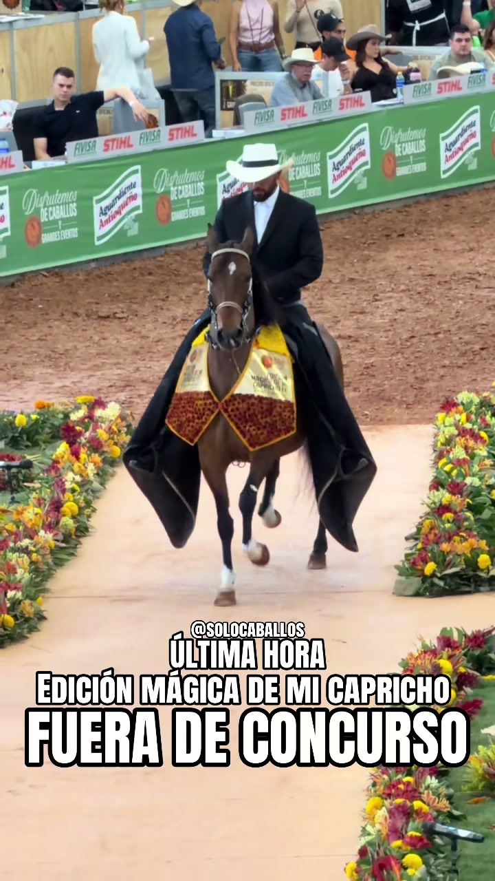 @Solo Caballos