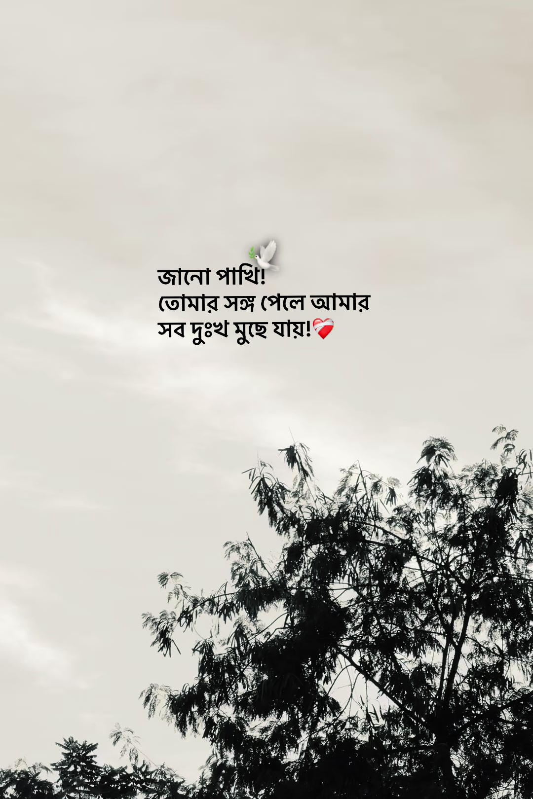 @आईएएन ┊🐥