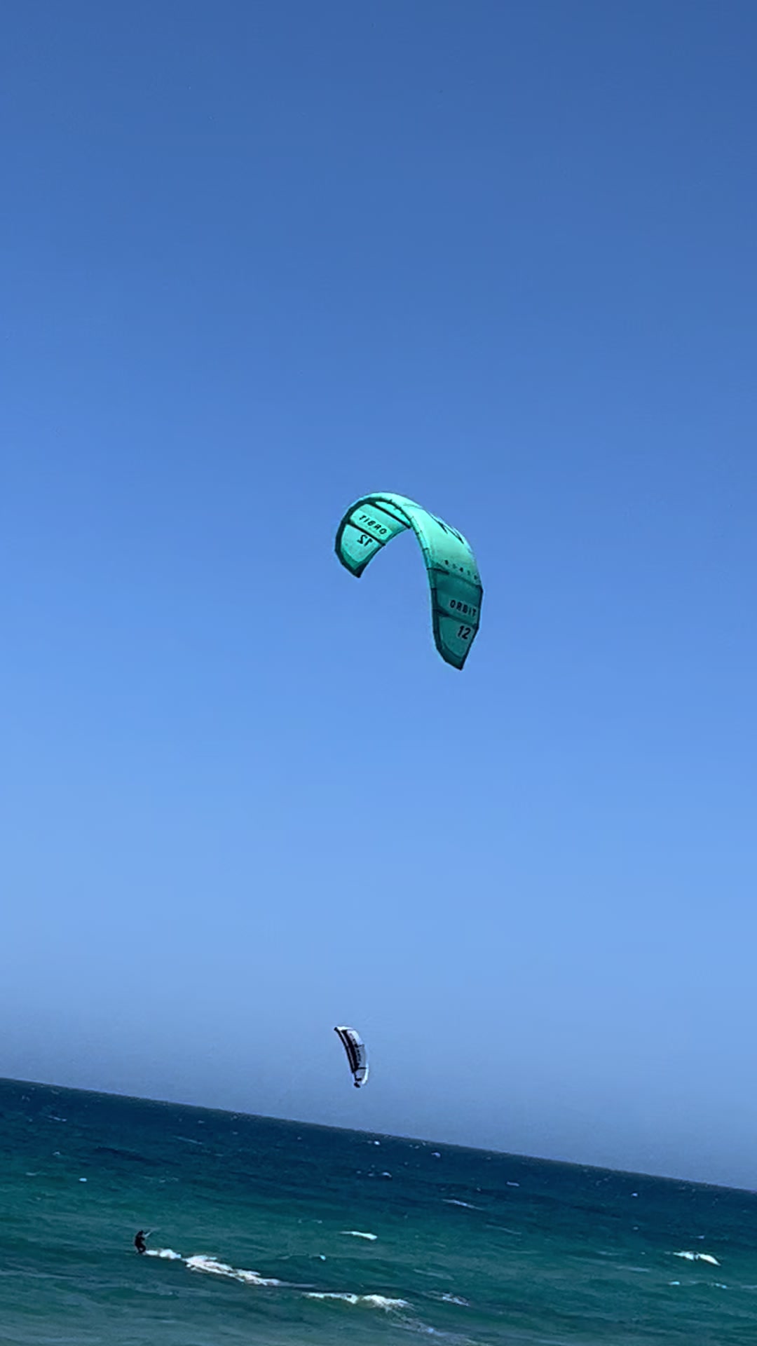 @Sipinico🦑