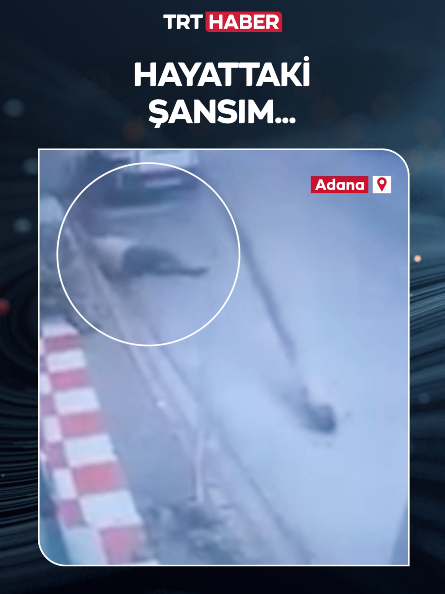 @TRT Haber