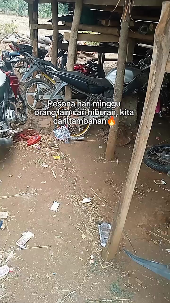 @rejion