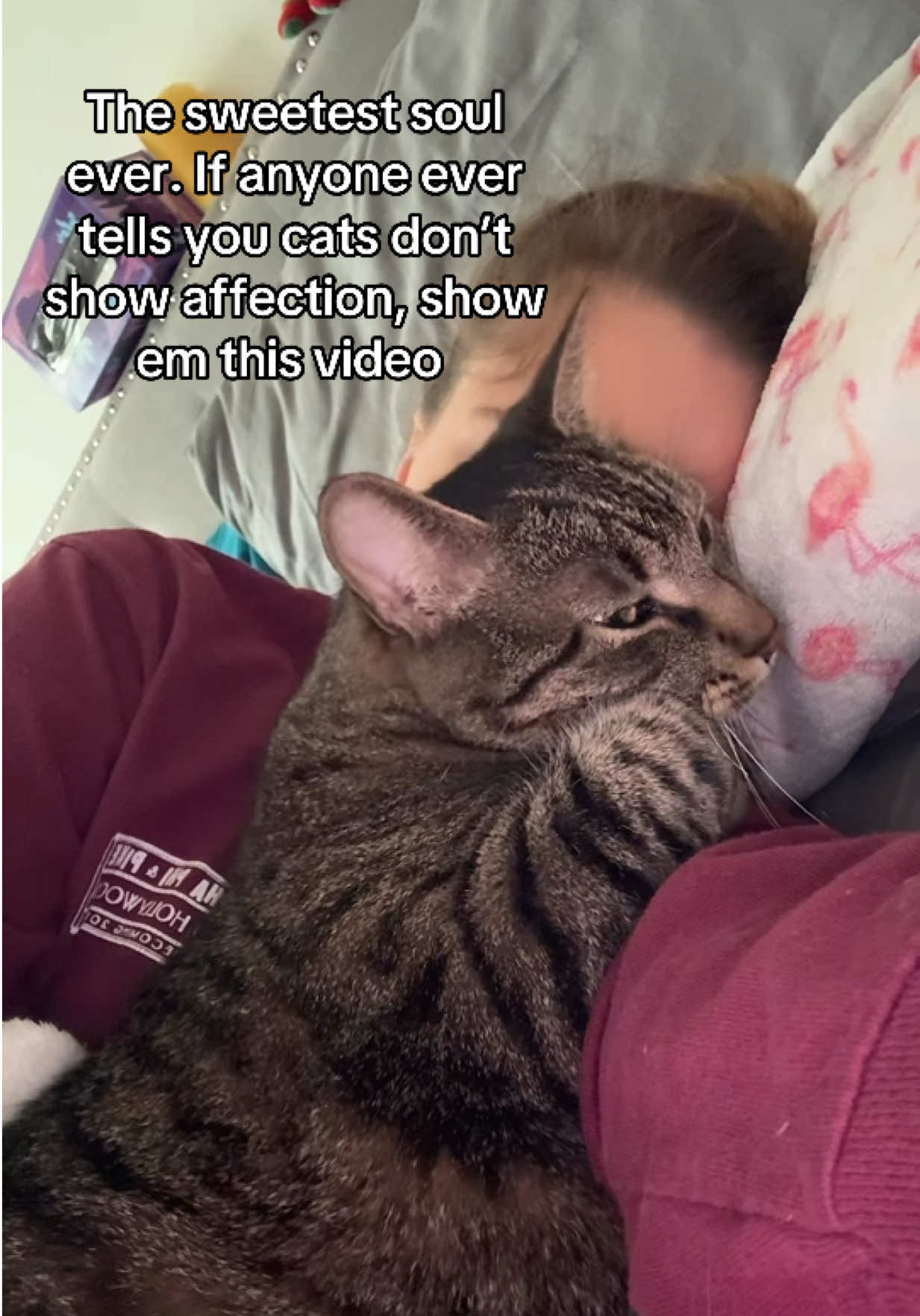 @mik👀