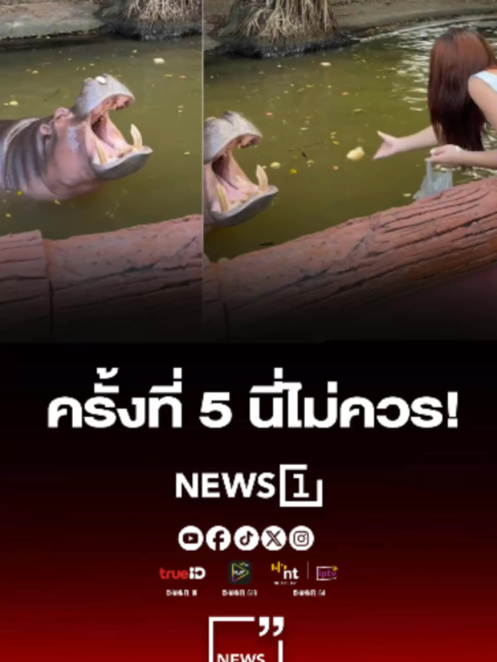 @news1