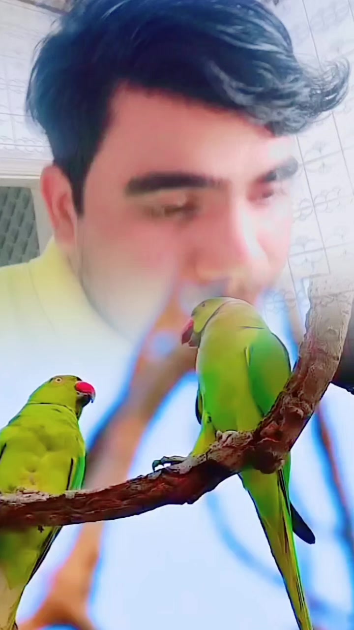 @Ramesh Shatish