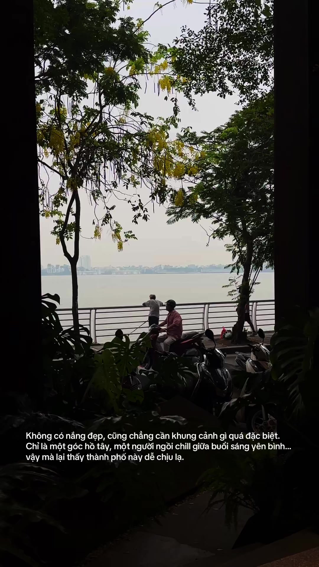 @Nguyễn Đăng Mạnh 📸