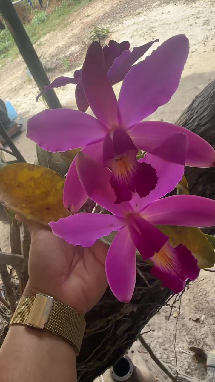@loirinh@@😍