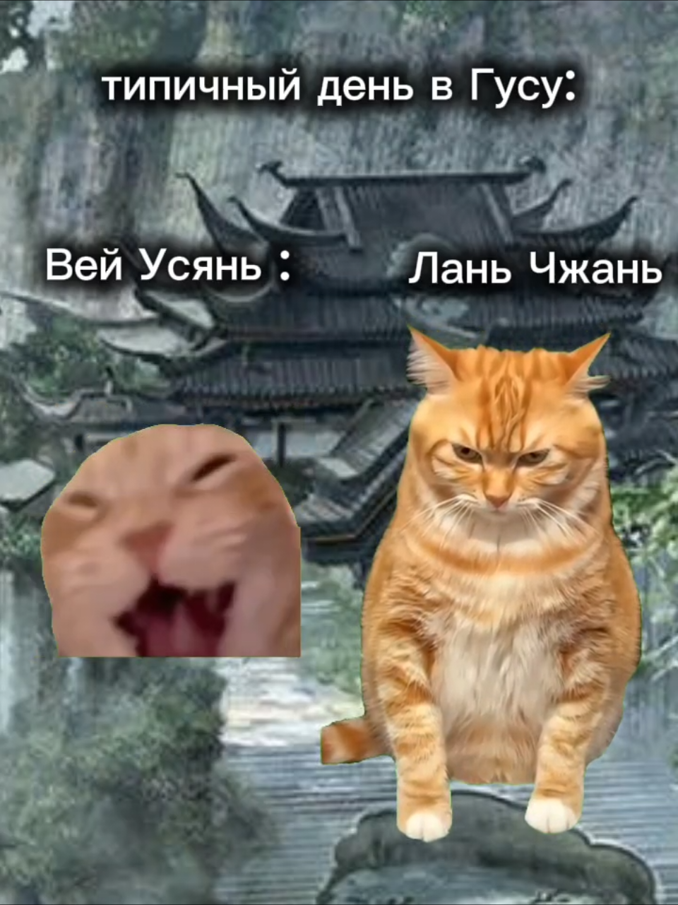 @Цинсюань