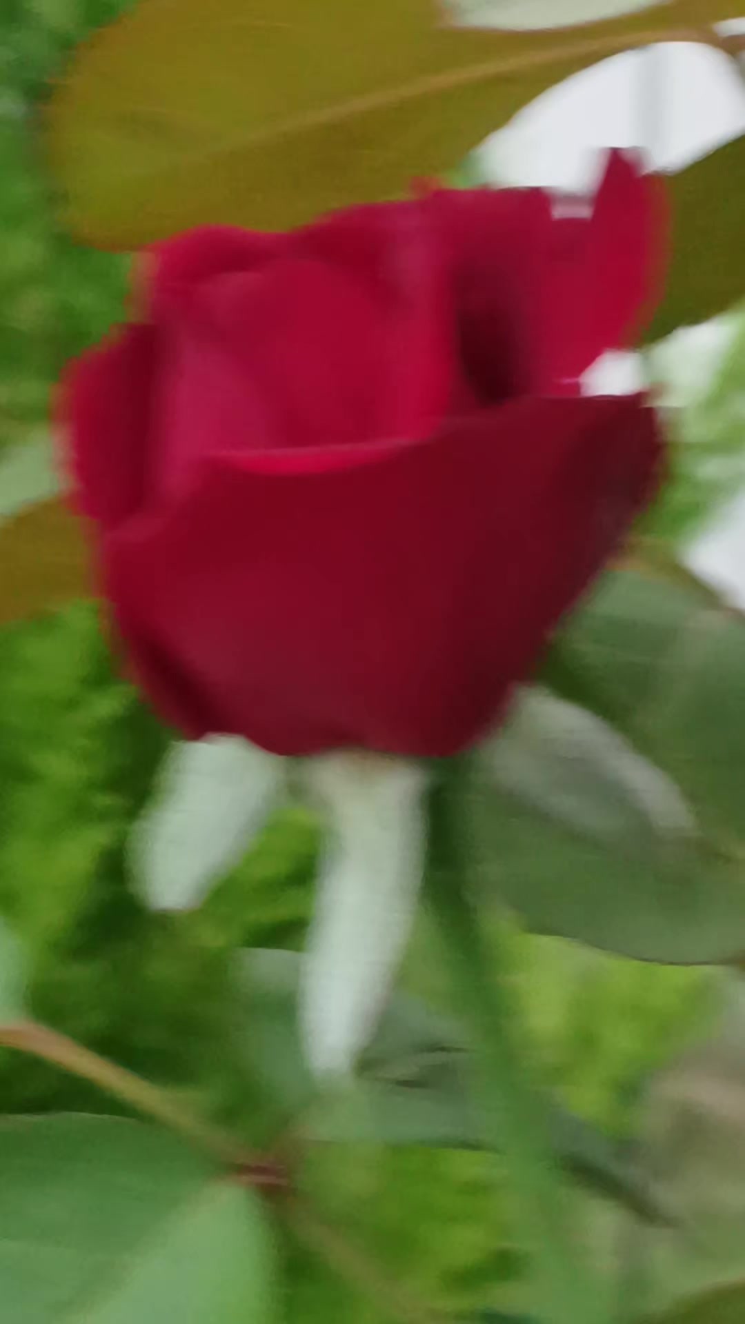 @yalnız adam1980