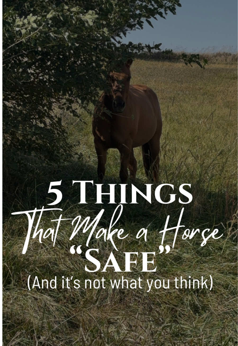 @Brittany Eckert | DM Strategy