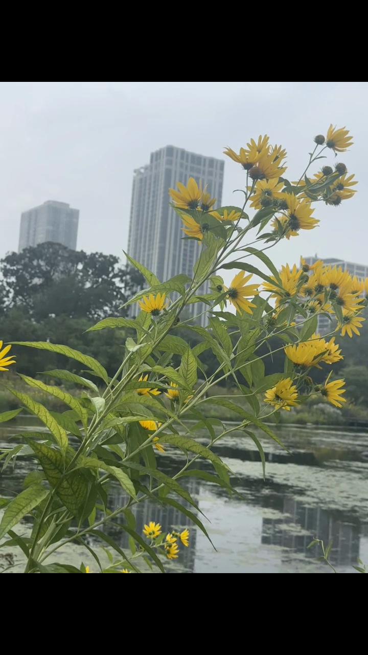 @786ami786