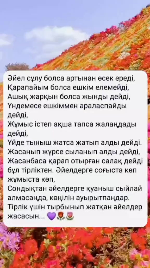 @๐ซ๐๐๐ท๐พ๐๐ถ ๐ซ