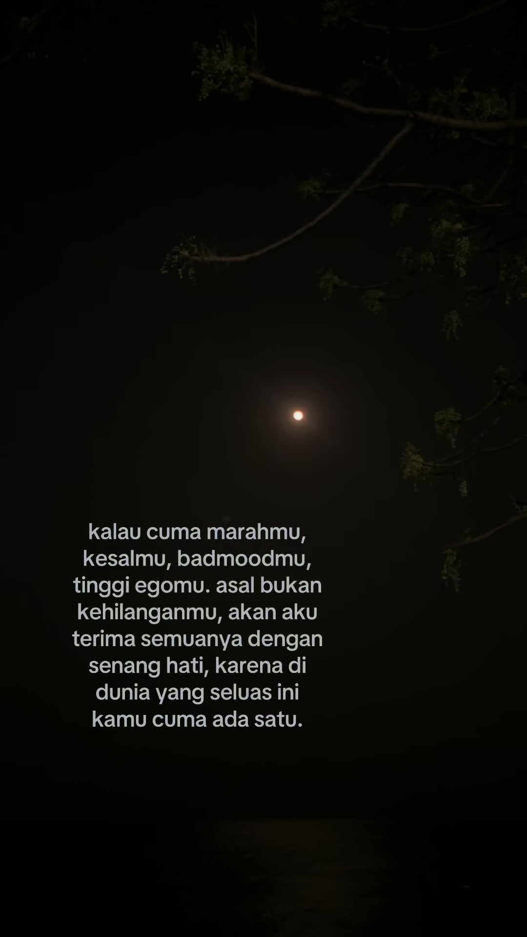 @artupp.