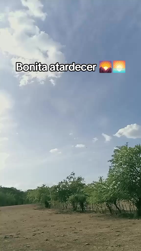 @Sebastián 74